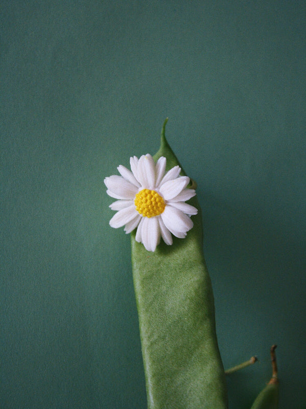 RING #008 élida c. 